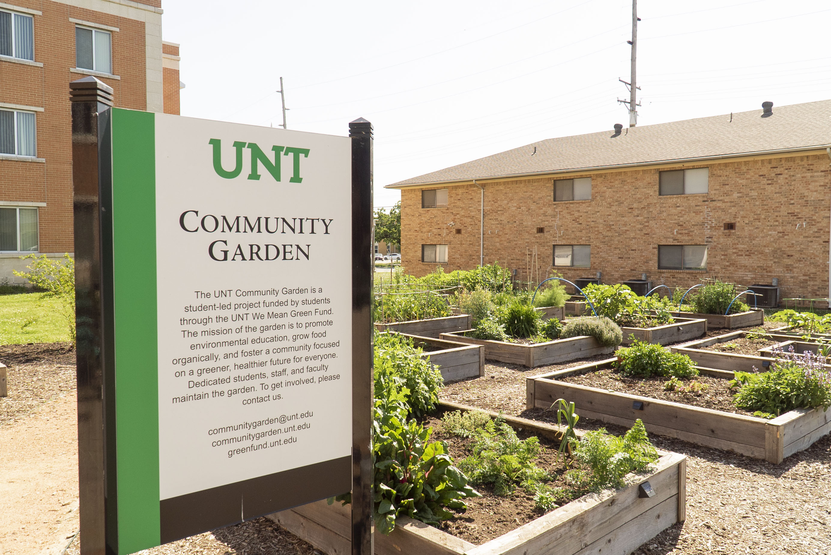 UNT Community Garden Sign