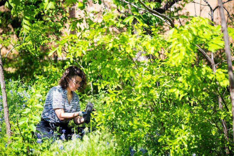 Emma M. working in native bed
