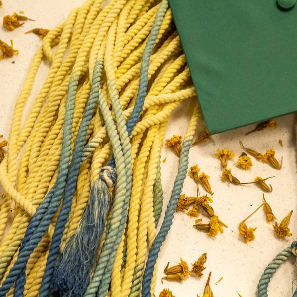 A few naturally-dyed light yellow and blue graduation cords with a UNT graduation cap