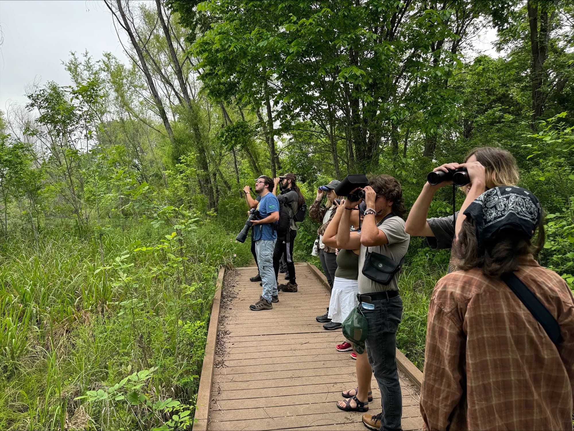 Bird Walk Students using binoculars to look for birds.